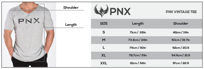 PNX - Vintage Roc Tee - light Grey